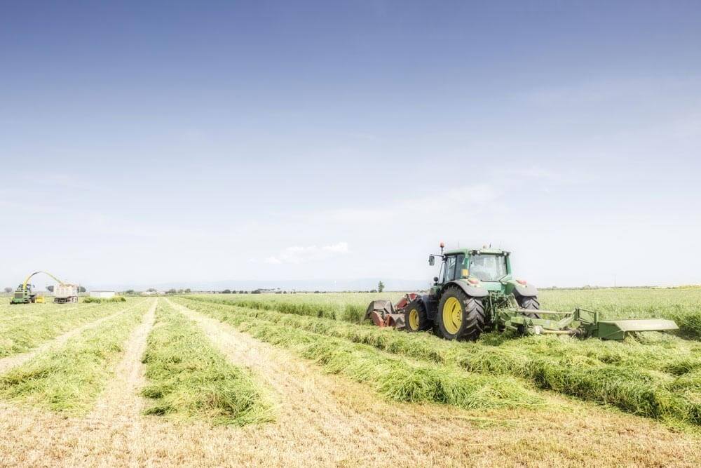 Dalla terra crescono ogni giorno doni e passione